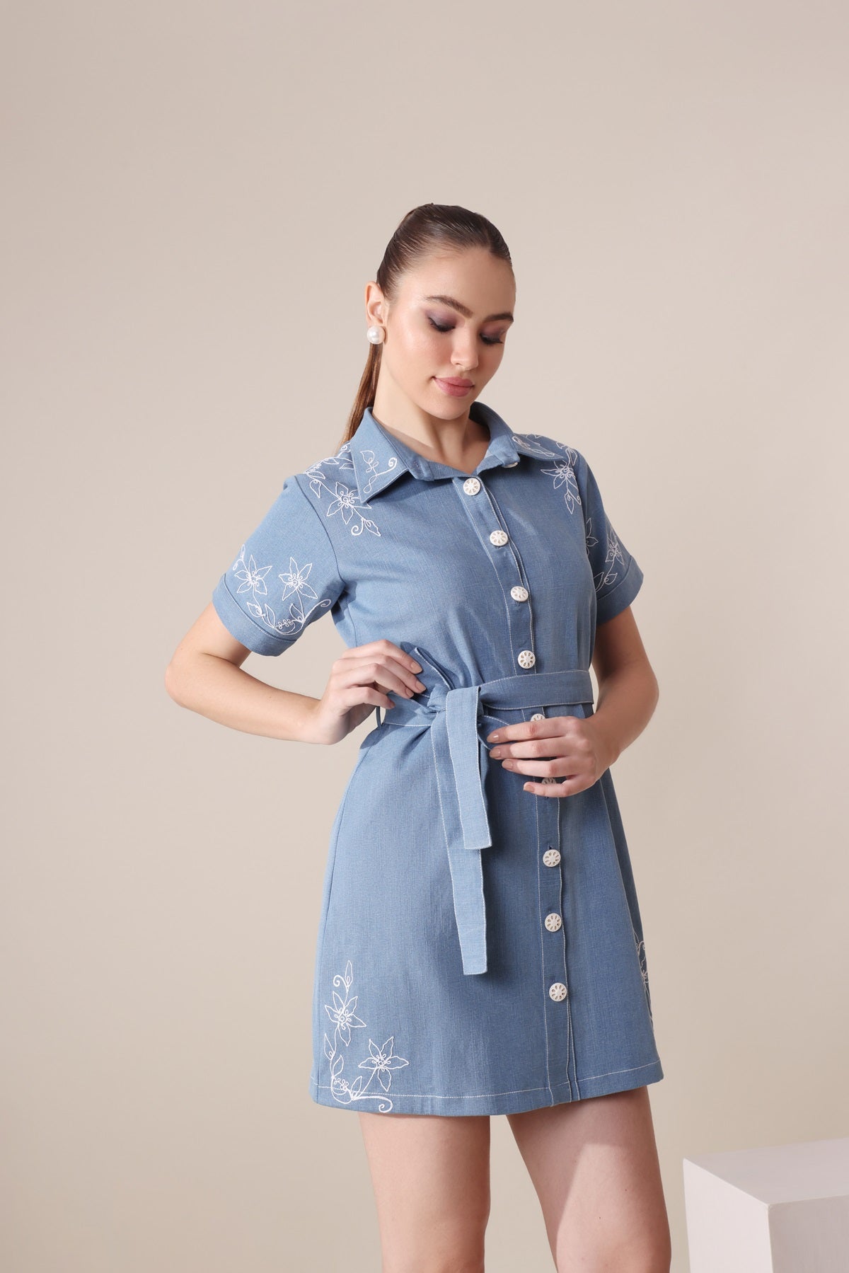 Denim Embroidered Dress