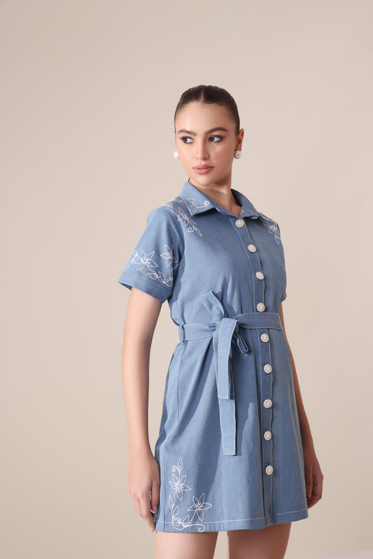 Denim Embroidered Dress